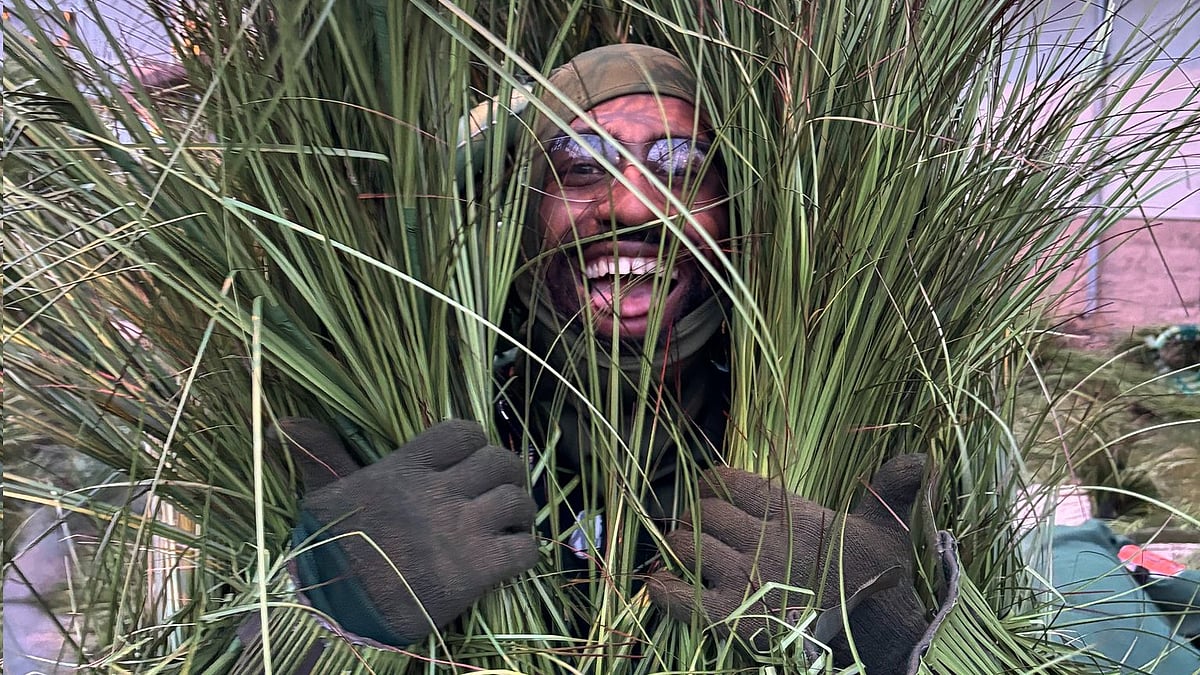 ঘাস হয়ে দাঁড়িয়ে থেকেই আয় দেড় লাখ টাকার বেশি