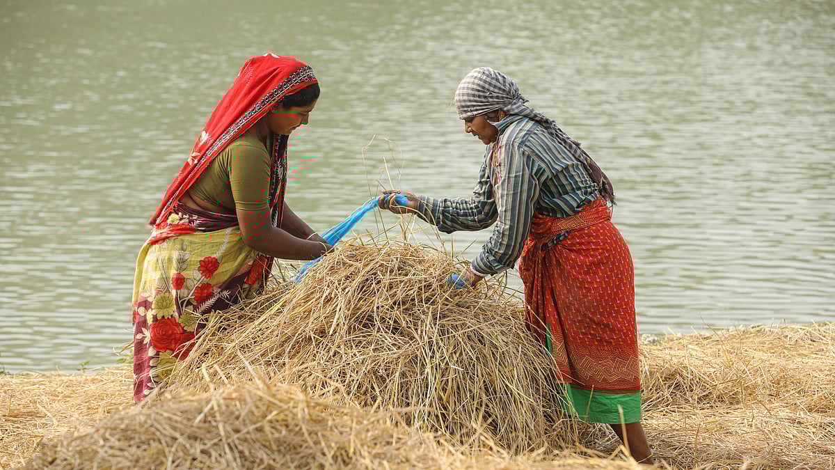 ছবি: সাদ্দাম হোসেন