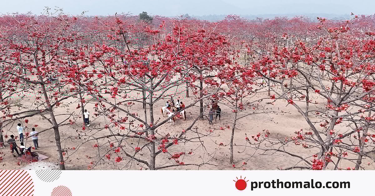 একঝলক (১৪ ফেব্রুয়ারি ২০২৬) একঝলক (১৪ ফেব্রুয়ারি ২০২৬)