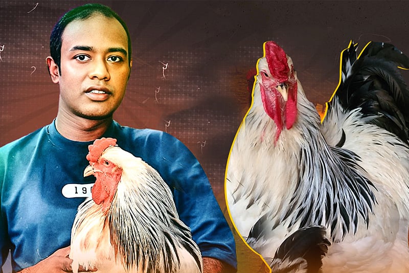 মাত্র এক জোড়া মুরগি দিয়ে খামার শুরু, এখন মাসে আয় লাখ টাকা