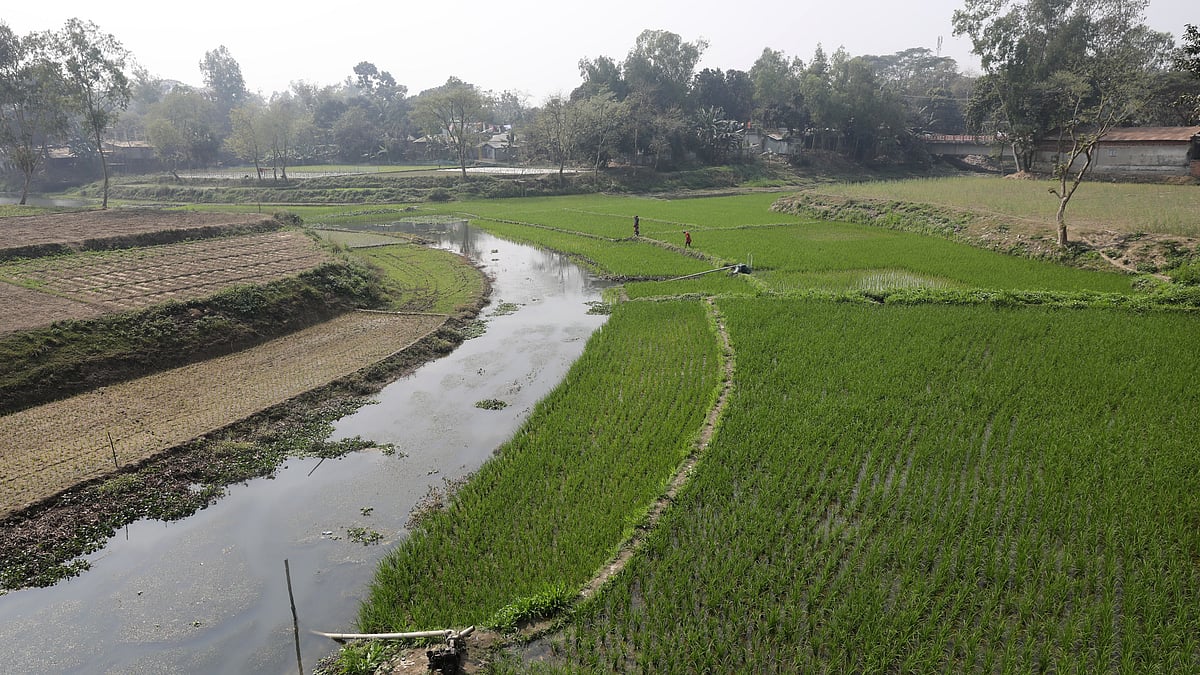 শিবগঞ্জ ত্রিমোহনী এলাকায় করতোয়ার সঙ্গে মিলিত হয়েছে গাংনাই ও নাগর নদ