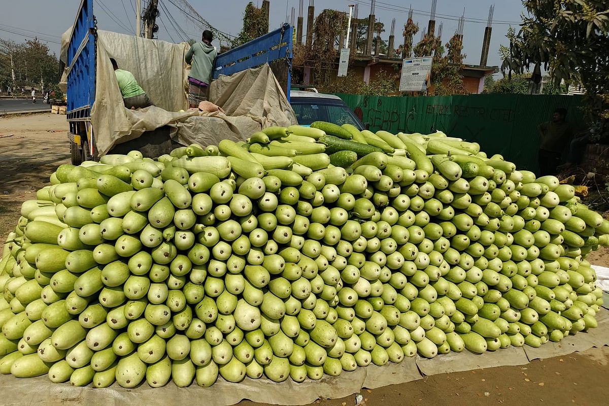সীতাকুণ্ডের যে সবজিবাজার থেকে এক দিনেই ঢাকায় গেল ৩৬ হাজার লাউ