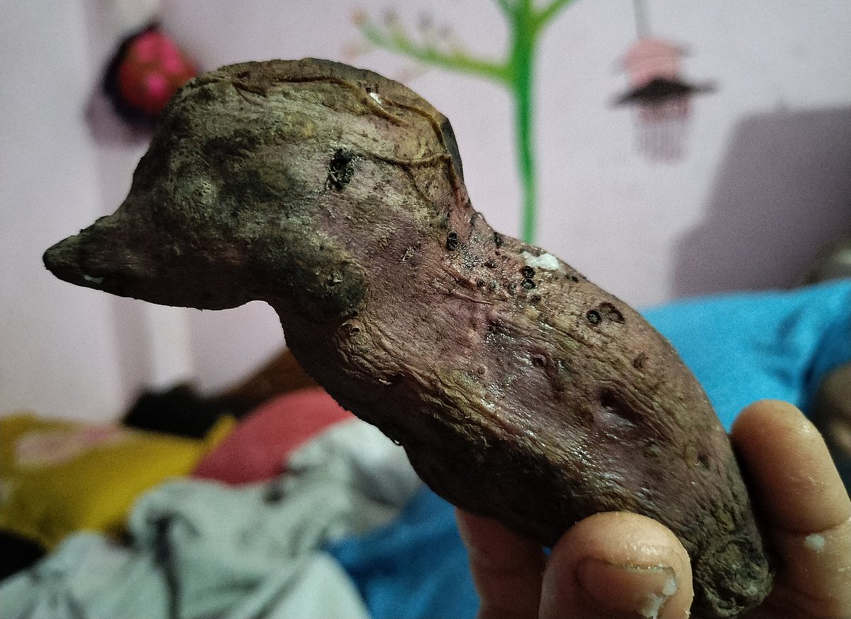 একঝলক (১৬ফেব্রুয়ারি’২০২৬)