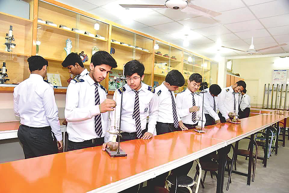 এইচএসসি ২০২৬। জীববিজ্ঞান ১ম পত্র: বহুনির্বাচনি প্রশ্ন (অধ্যায়–২)—ক্রসিংওভারের সূচনা ঘটে প্যাকাইটিনে