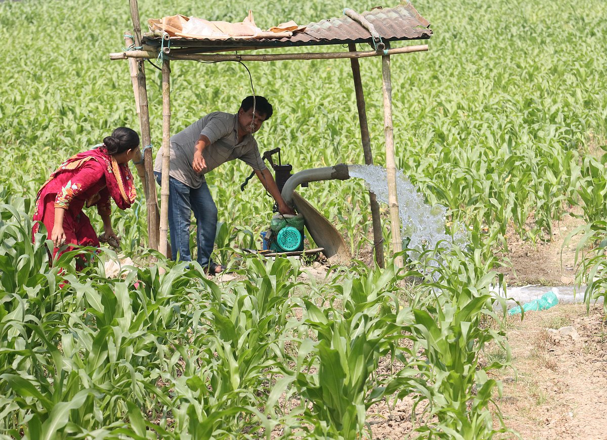 একঝলক (১৮ ফেব্রুয়ারি ২০২৬)