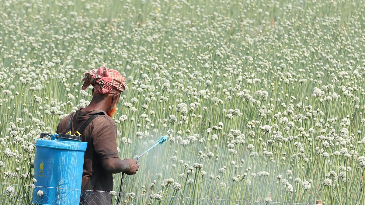 ছবি: আলীমুজ্জামান