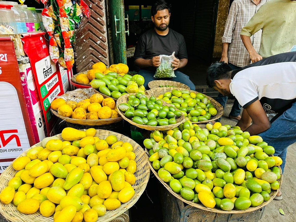 লেবুর সুবাসে ভরা শ্রীমঙ্গলে এক হালি ৬০ থেকে ১৫০ টাকা