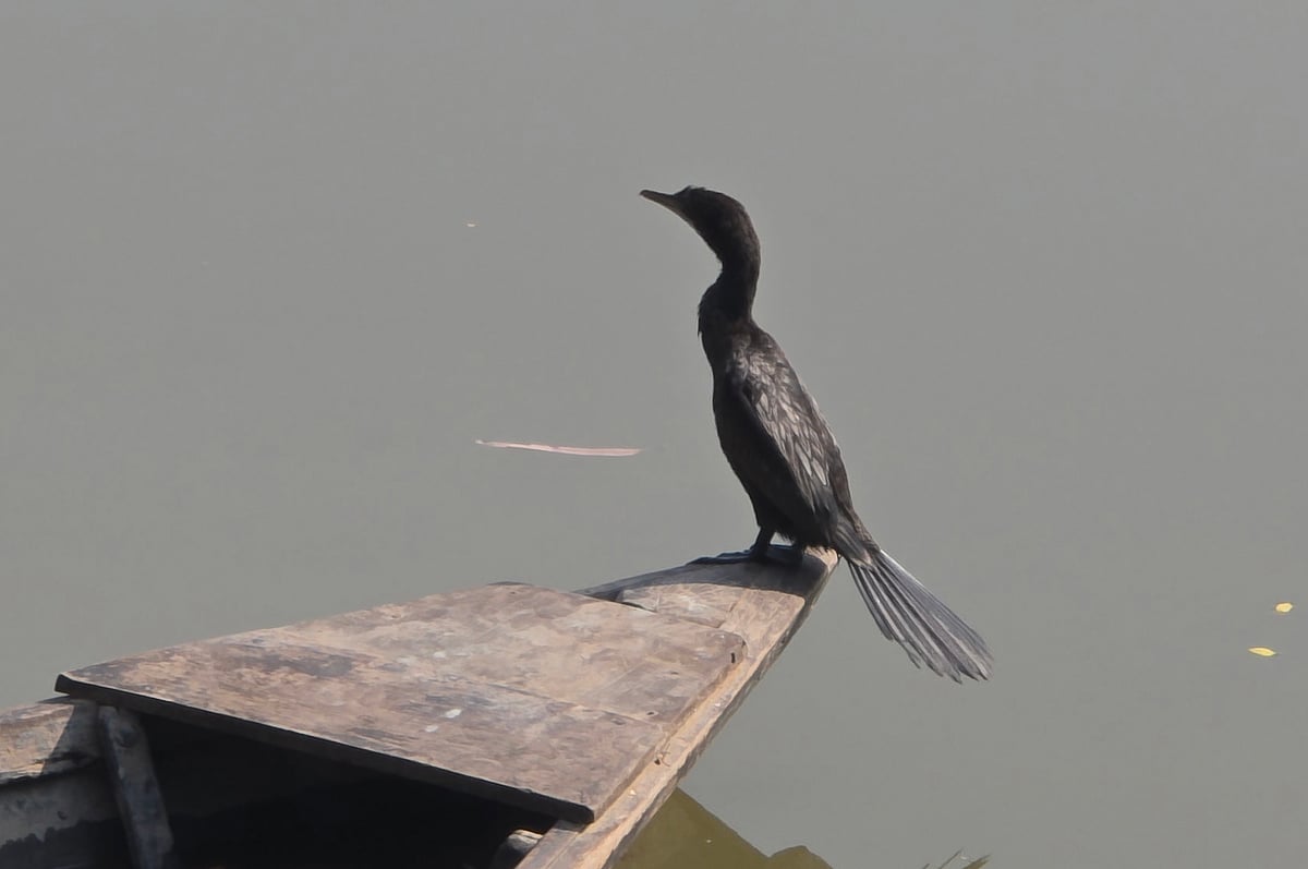 ছবি: আবদুল মোমিন