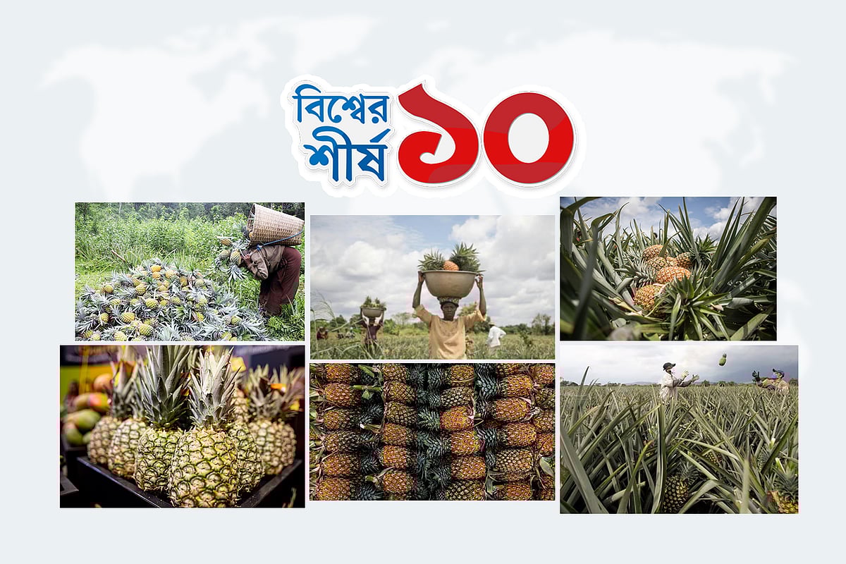 বিশ্বে বছরে লাখ লাখ টন আনারস উৎপাদন, কোন দেশগুলোতে ফলন বেশি