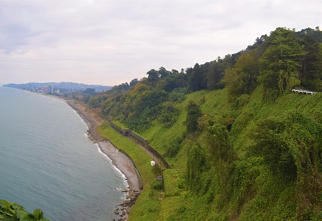 বোটানিক্যাল গার্ডেন থেকে এক অসাধারণ রূপে কৃষ্ণসাগর দেখা যায়