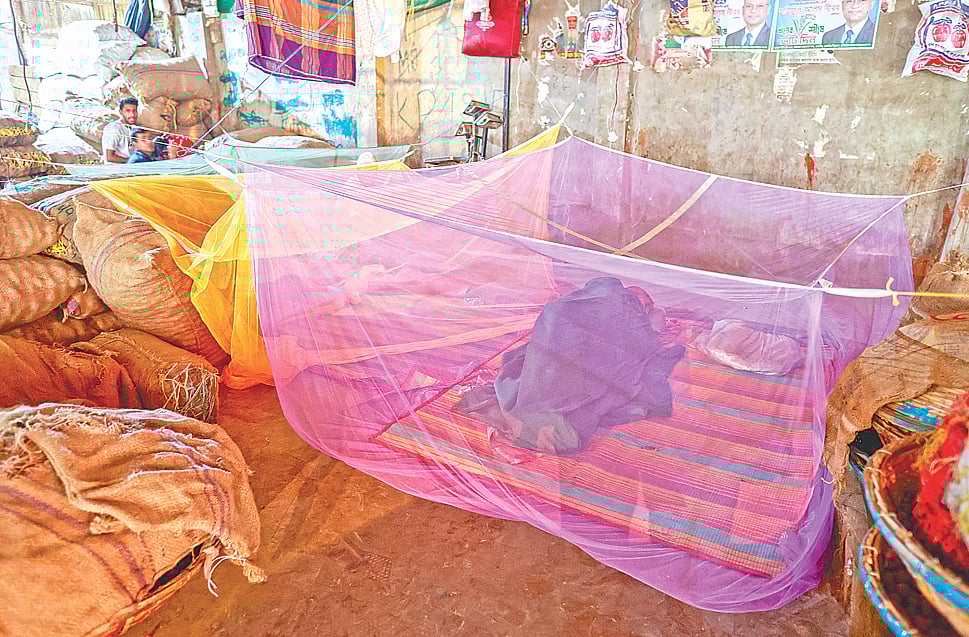 ঢাকায় এক মাসেই মশা বেড়েছে ৪০%