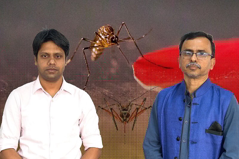 এক মাসে ঢাকায় বাড়ল ৪০% মশা