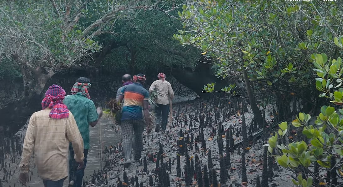 সুন্দরবনের মৌয়ালদের সংগ্রামের গল্প নিয়ে প্রামাণ্যচিত্র ‘সাহসেই বিকাশ’