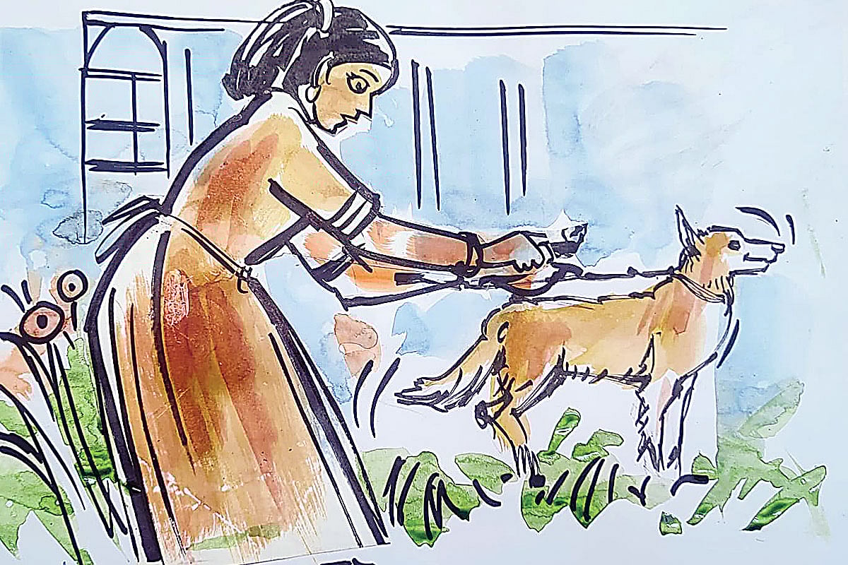 আমাদের স্পটি ও জেটি