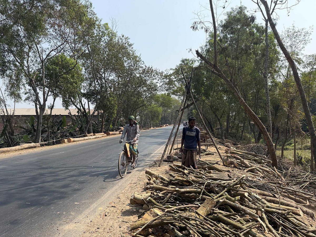 ঝিনাইদহ-কুষ্টিয়া মহাসড়কে গাছের গুঁড়ি ফেলে দখল, দুর্ঘটনার ঝুঁকি