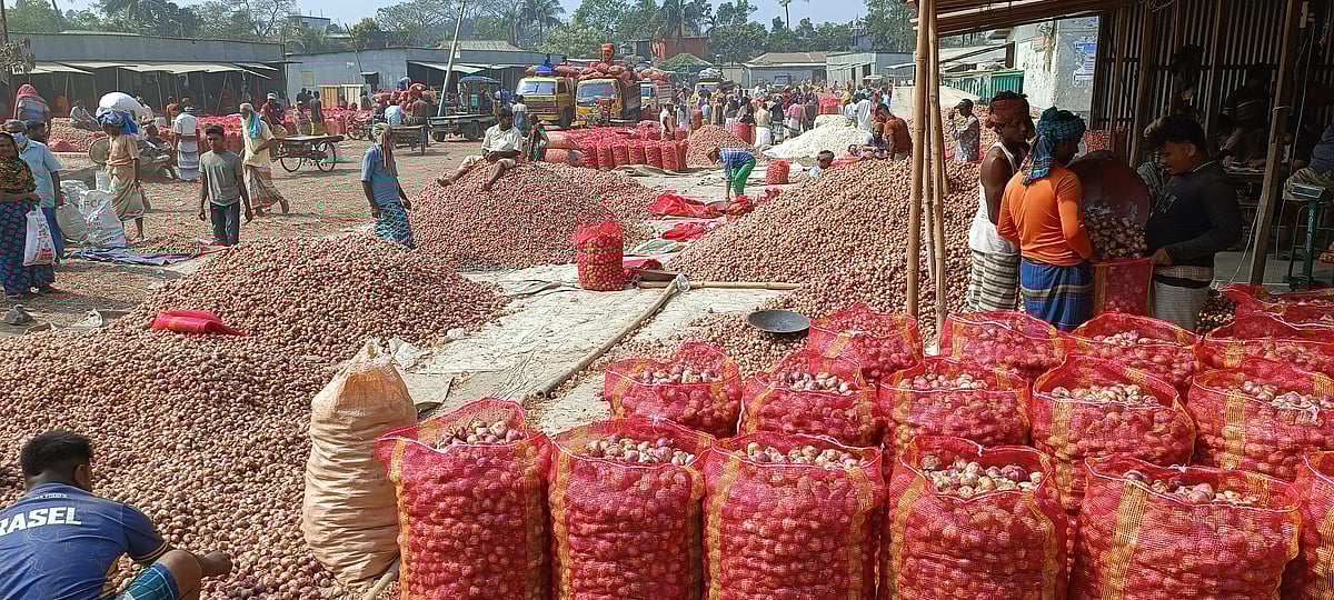 পেঁয়াজের বাজারে ধস, পাবনায় লোকসানে কৃষক