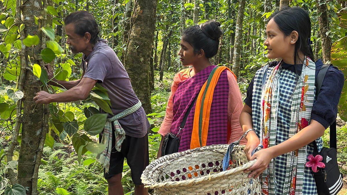 ছবি: জাওয়াদুল আলম