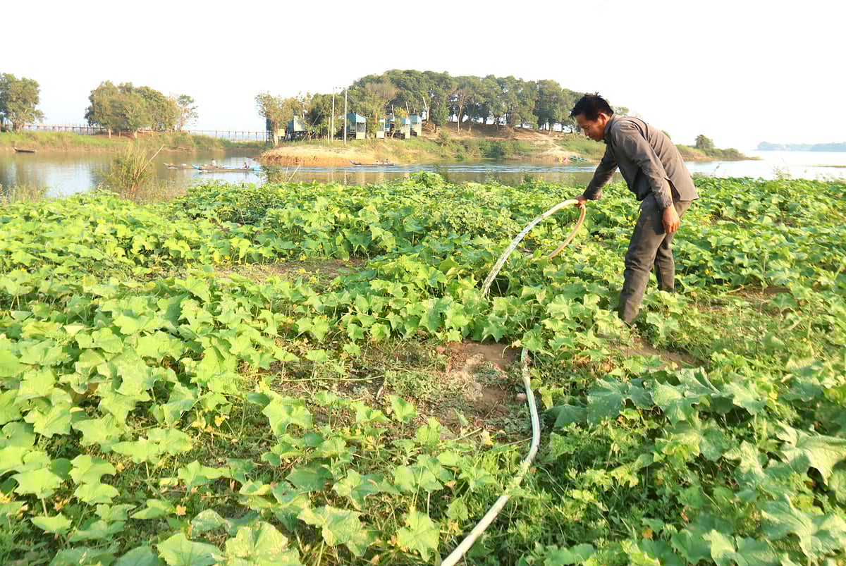 ক্ষীরাখেতে পানি দেওয়া হচ্ছে 