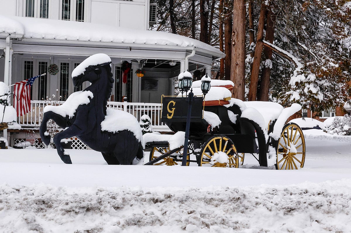 ছবি: এএফপি 