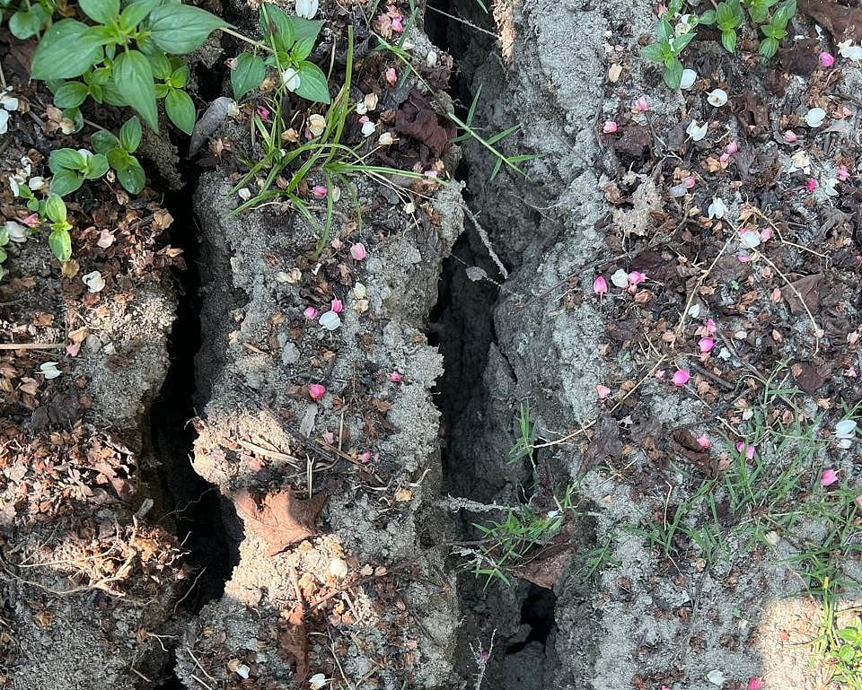 নরসিংদীর ভূমিকম্পকে কেন বোঝা জরুরি