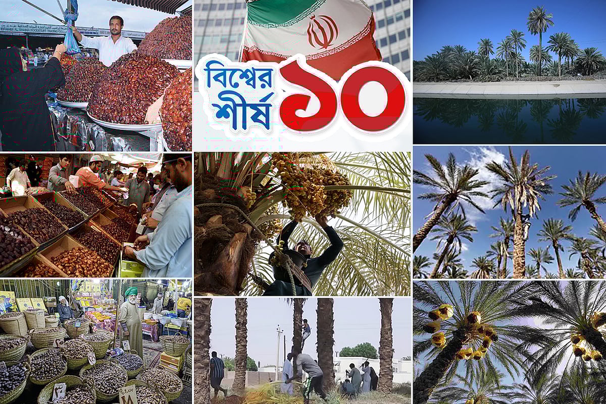 বিশ্বে খেজুর উৎপাদনে শীর্ষে কারা