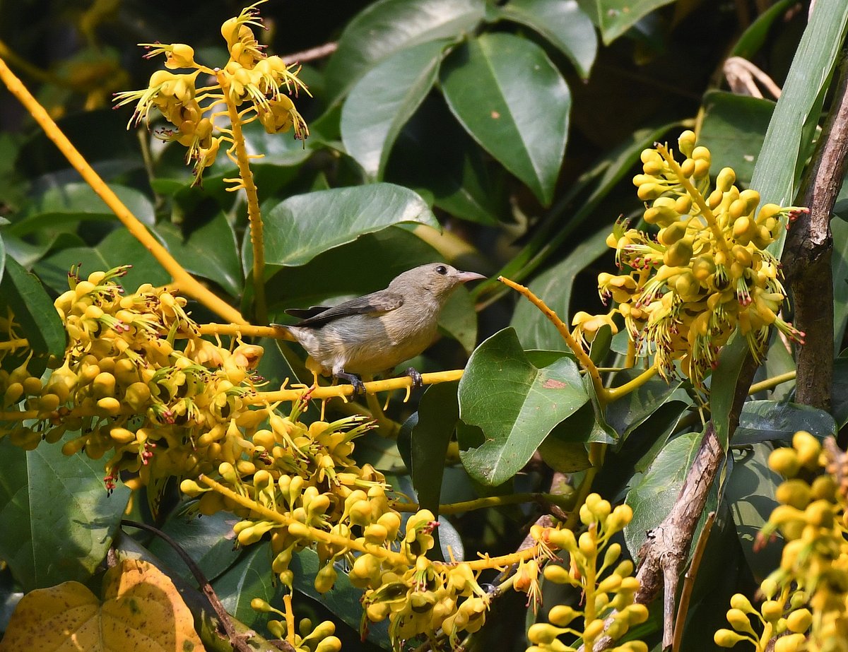 একঝলক (২৬ ফেব্রুয়ারি ২০২৬)