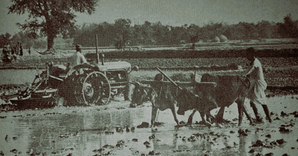 স্নায়ুযুদ্ধকালীন পূর্ব পাকিস্তানে কৃষি আধুনিকায়নের দ্বিধাদ্বন্দ্ব স্নায়ুযুদ্ধকালীন পূর্ব পাকিস্তানে কৃষি আধুনিকায়নের দ্বিধাদ্বন্দ্ব