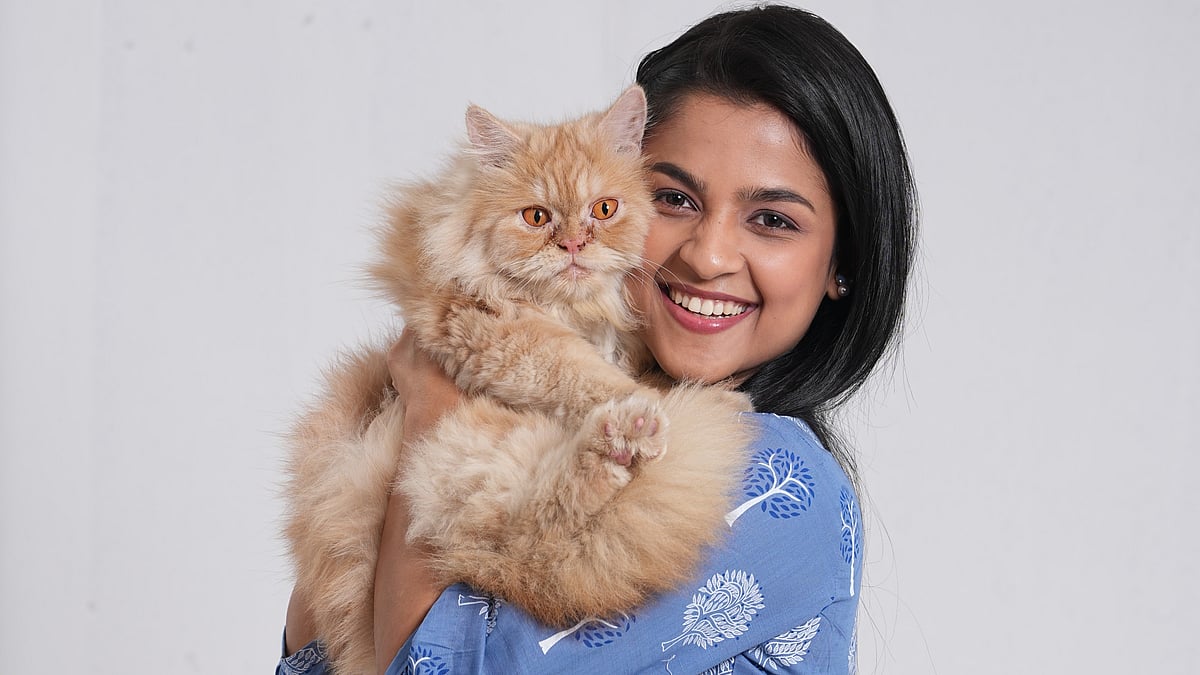 ‘মিউ’ সিনেমায় মনোযোগ দিয়ে কাজ করেছে সাদিয়ার পোষা বিড়াল