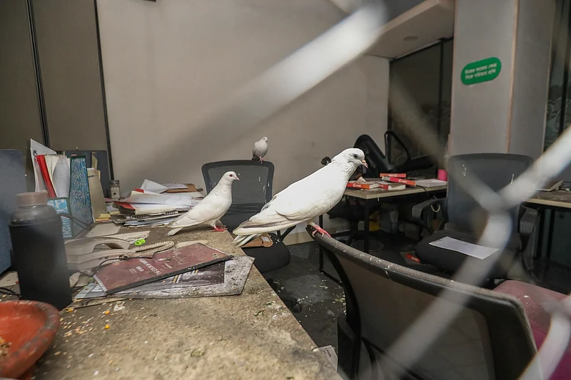 প্রথম আলোর ভস্মীভূত ভবনে শিল্পী মাহবুবুর রহমানের শিল্পায়োজন ‘আলো’