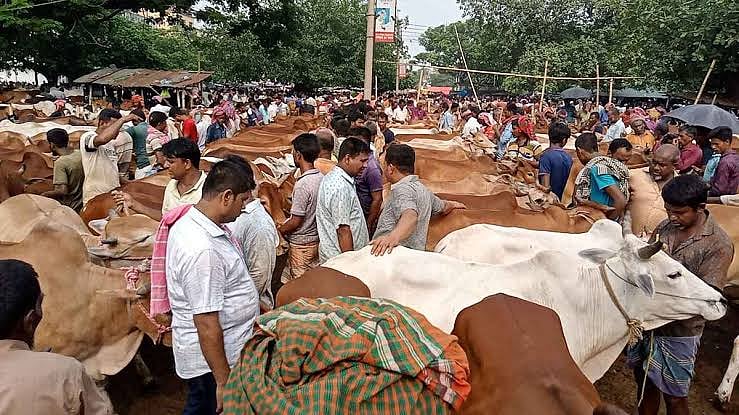 জয়পুরহাট পৌর শহরের প্রাণকেন্দ্রে অবস্থিত নতুনহাট এ বছর ১২ কোটি ১২ লাখ ১১২ টাকায় ইজারা দেওয়া হয়েছে 