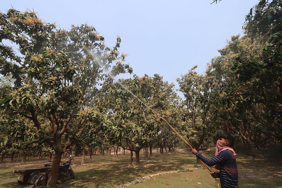 ছবি: মঈনুল ইসলাম 