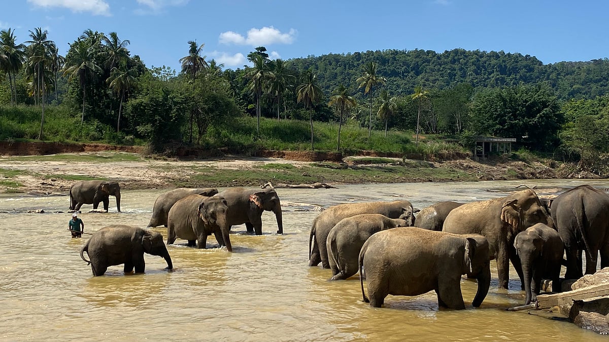 ছবি: নিশাত সুলতানা