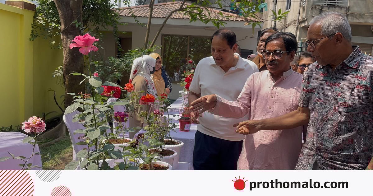 কুমিল্লায় ব্যতিক্রমী গোলাপ প্রদর্শনী, বাহারি রঙের গোলাপে মুগ্ধ দর্শক কুমিল্লায় ব্যতিক্রমী গোলাপ প্রদর্শনী, বাহারি রঙের গোলাপে মুগ্ধ দর্শক