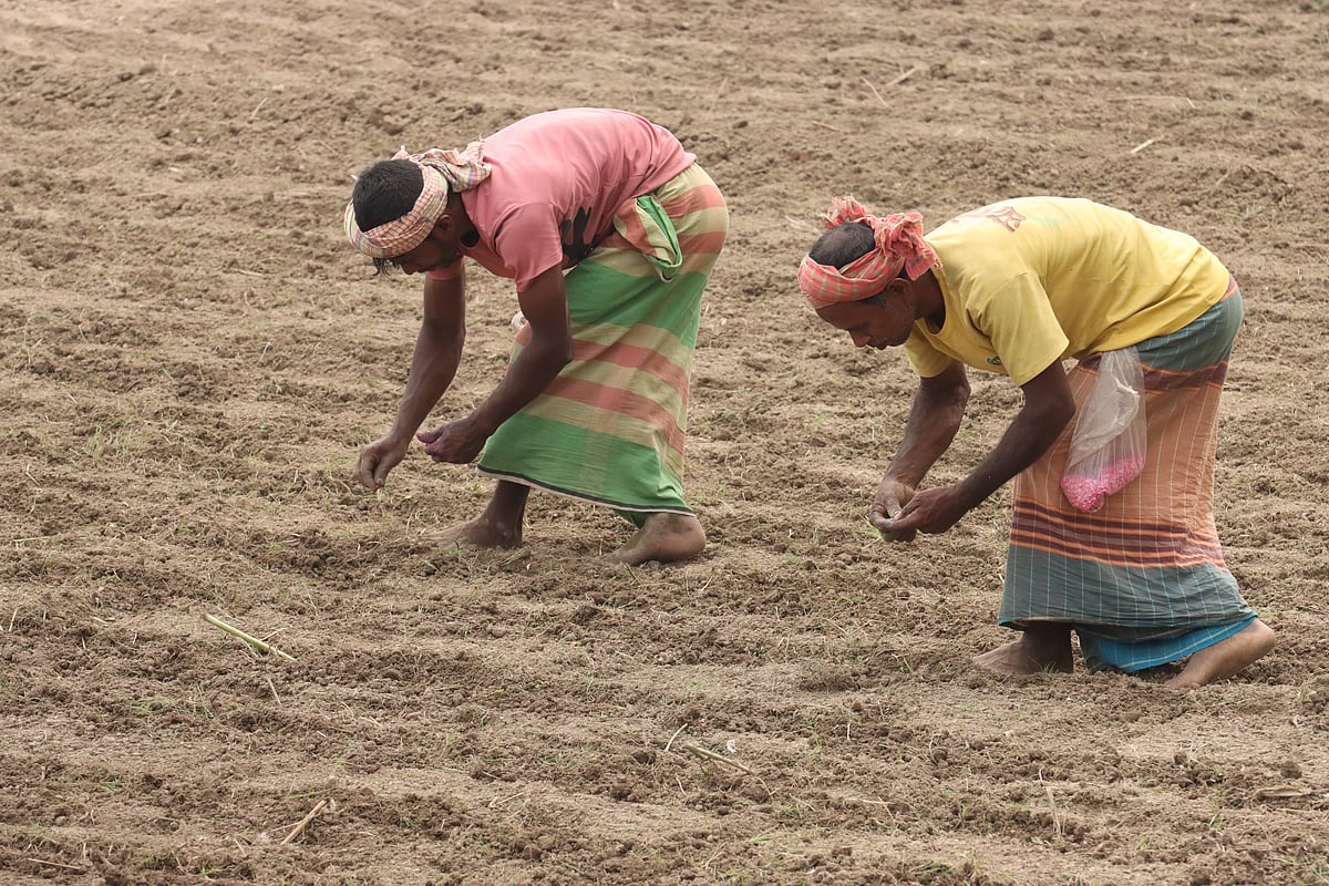 দূরের যুদ্ধ, আমাদের লড়াই: কৃষি ও খাদ্যনিরাপত্তার চ্যালেঞ্জ