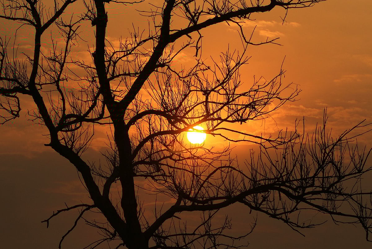 ছবি: সুপ্রিয় চাকমা