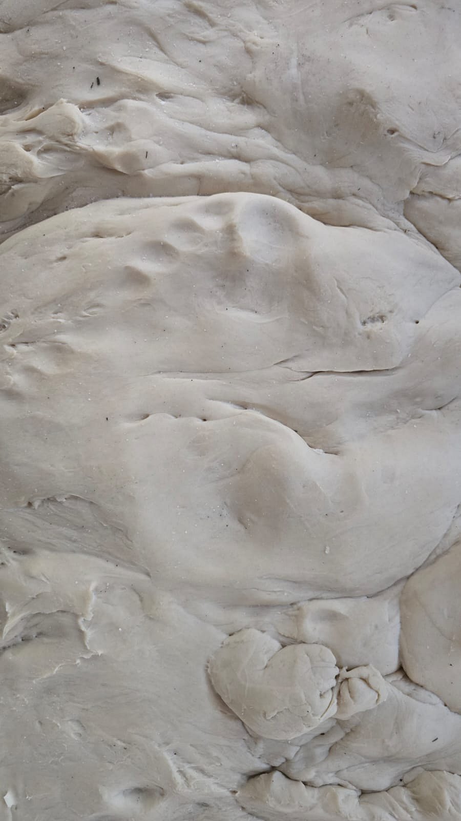 পায়ে মাড়িয়ে তৈরি করা হচ্ছিল সেমাইয়ের খামির, বগুড়ায় কারখানাকে জরিমানা