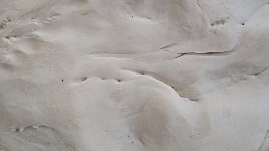 ছবি: প্রথম আলো