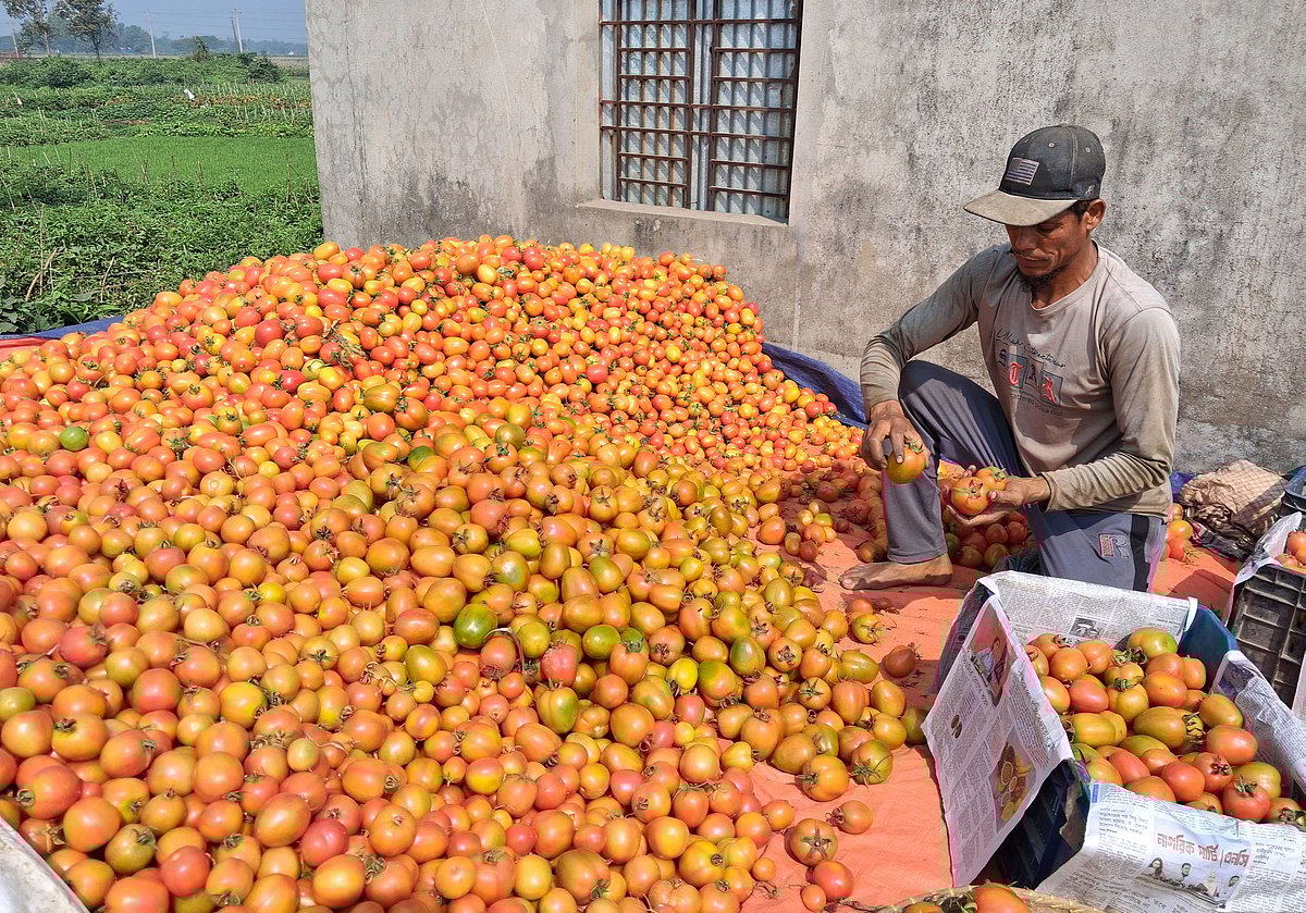 ছবি: আবদুর রহমান ঢালী