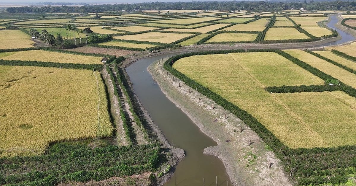 উপকূলীয় জনপদ: ডেলটা প্ল্যান ২১০০ বাস্তবায়ন ও পানি ব্যবস্থাপনা উপকূলীয় জনপদ: ডেলটা প্ল্যান ২১০০ বাস্তবায়ন ও পানি ব্যবস্থাপনা