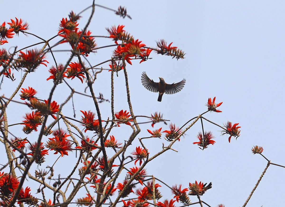 একঝলক (৫ মার্চ ২০২৬)