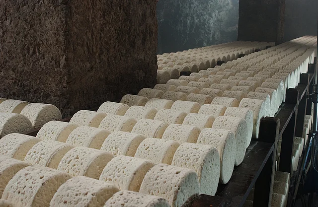 ভূগর্ভস্থ সুড়ঙ্গে প্রায় অন্ধকার গুহার নির্জনে ওক কাঠের পাটাতনে সাজিয়ে রাখা হয়েছে হাজার হাজার পনিরের গোল চাকতি