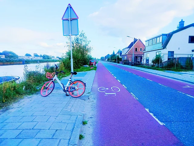 ওলন্দাজদের সাইলকেলপ্রিয়তা দারুণ