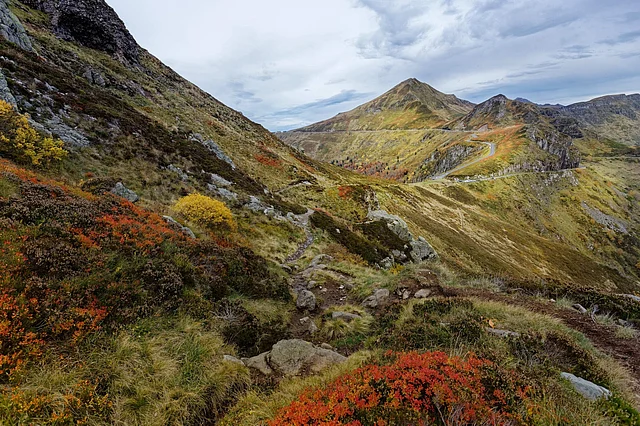ফ্রান্সের দক্ষিণের অ্যাভেরোঁ এবং এর আশপাশের এক বিস্তীর্ণ অঞ্চল বেশ রুক্ষ। সর্বত্র উঁচু-নিচু পাহাড় আর প্রস্তরময় ভূমি