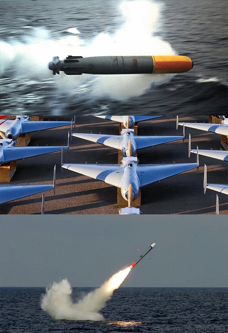 টর্পেডো, ব্যালিস্টিক মিসাইল, কামিকাজে ড্রোন: ইরান, ইসরায়েল আর মার্কিন যুক্তরাষ্ট্রের সমরাস্ত্রগুলোর কোনটি কী করে