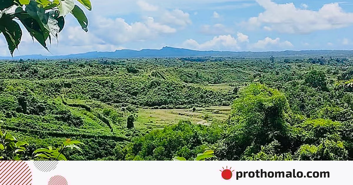 নাইক্ষ্যংছড়ি সীমান্তে মাইন বিস্ফোরণ, বাঁ পা উড়ে গেল বাংলাদেশি কাঠুরিয়ার নাইক্ষ্যংছড়ি সীমান্তে মাইন বিস্ফোরণ, বাঁ পা উড়ে গেল বাংলাদেশি কাঠুরিয়ার