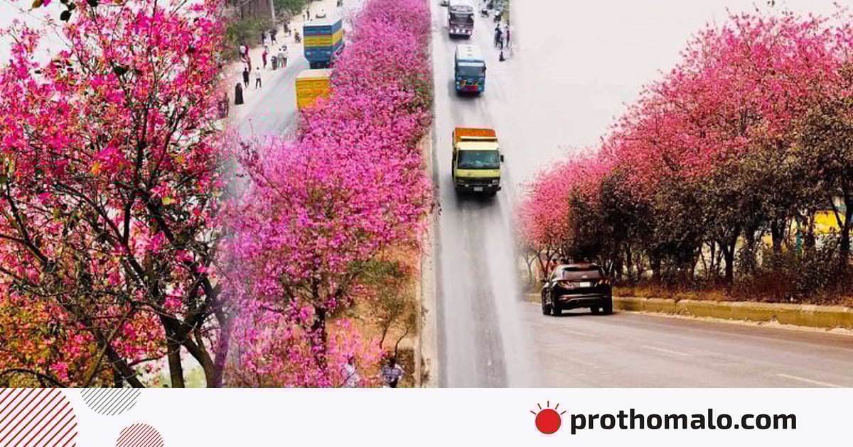 ‘বাংলাদেশের বুকে যেন একটুকরো জাপান’ ‘বাংলাদেশের বুকে যেন একটুকরো জাপান’