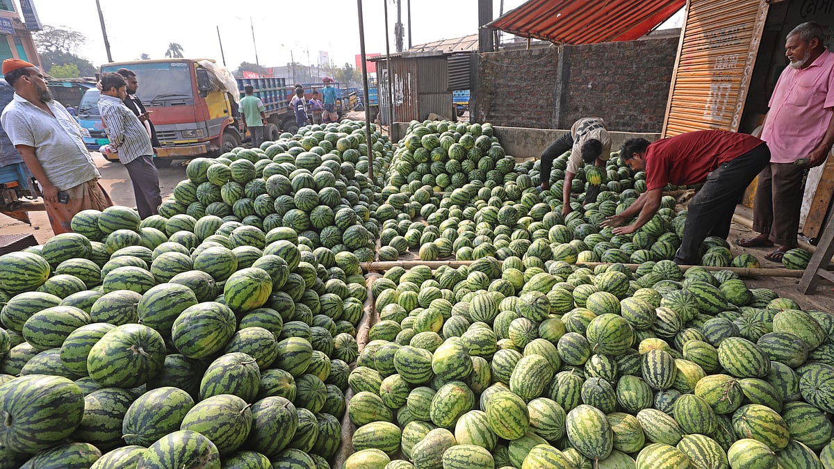 নগরের একটি ফলের আড়তে আকারভেদে তরমুজ আলাদা করে রাখছেন শ্রমিকেরা