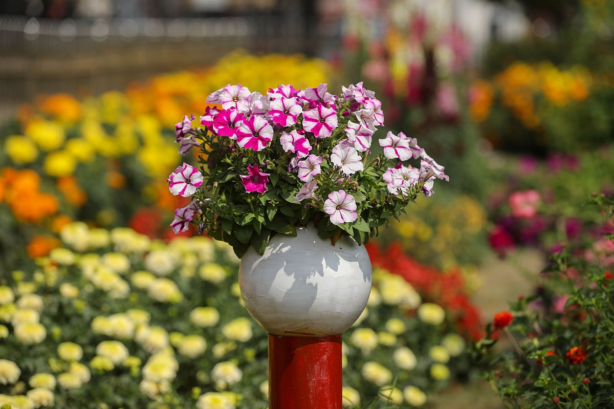 একঝলক (৯ মার্চ ২০২৬)