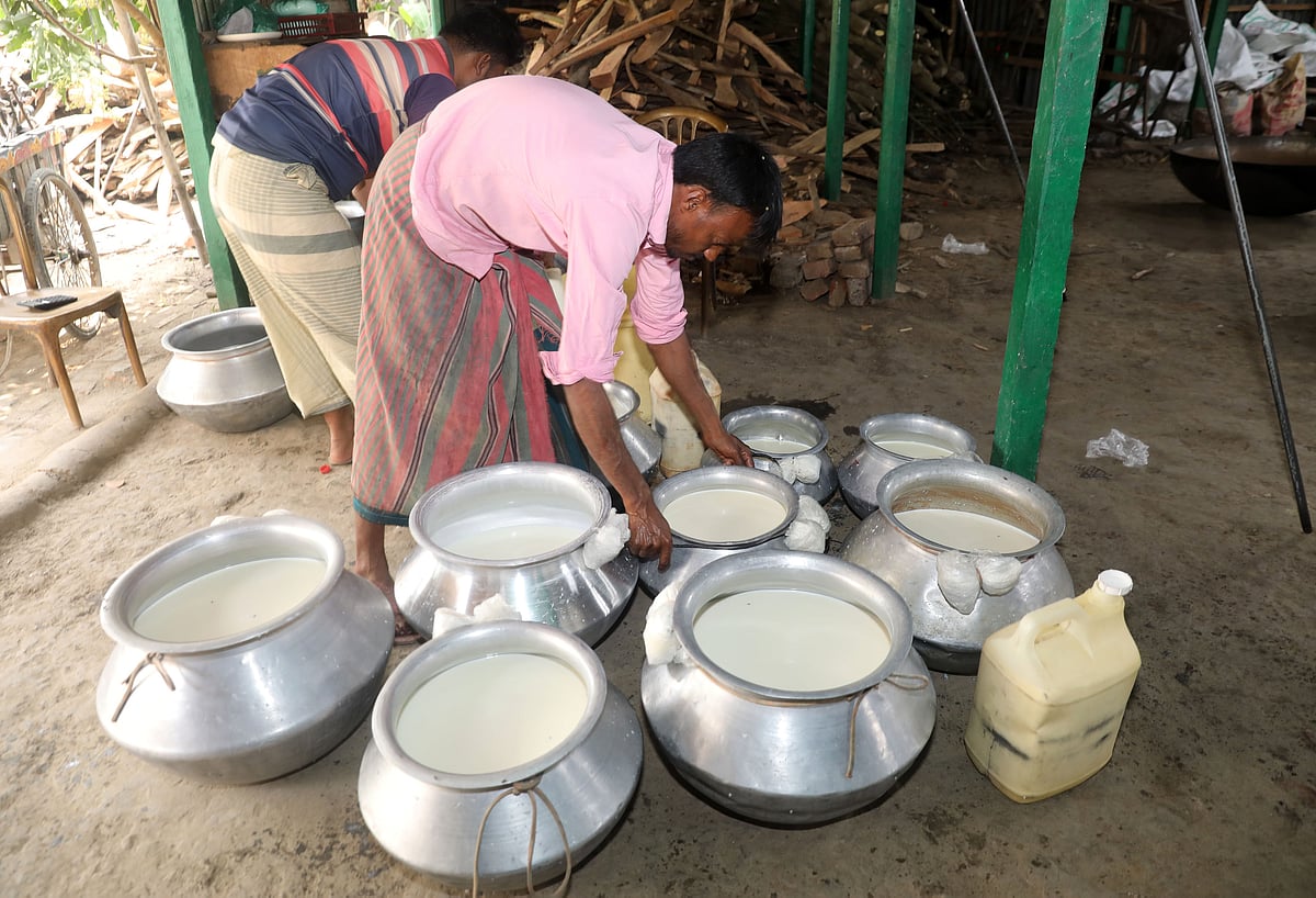 বিভিন্ন গ্রাম থেকে কারখানায় দুধ আনা হচ্ছে। 
