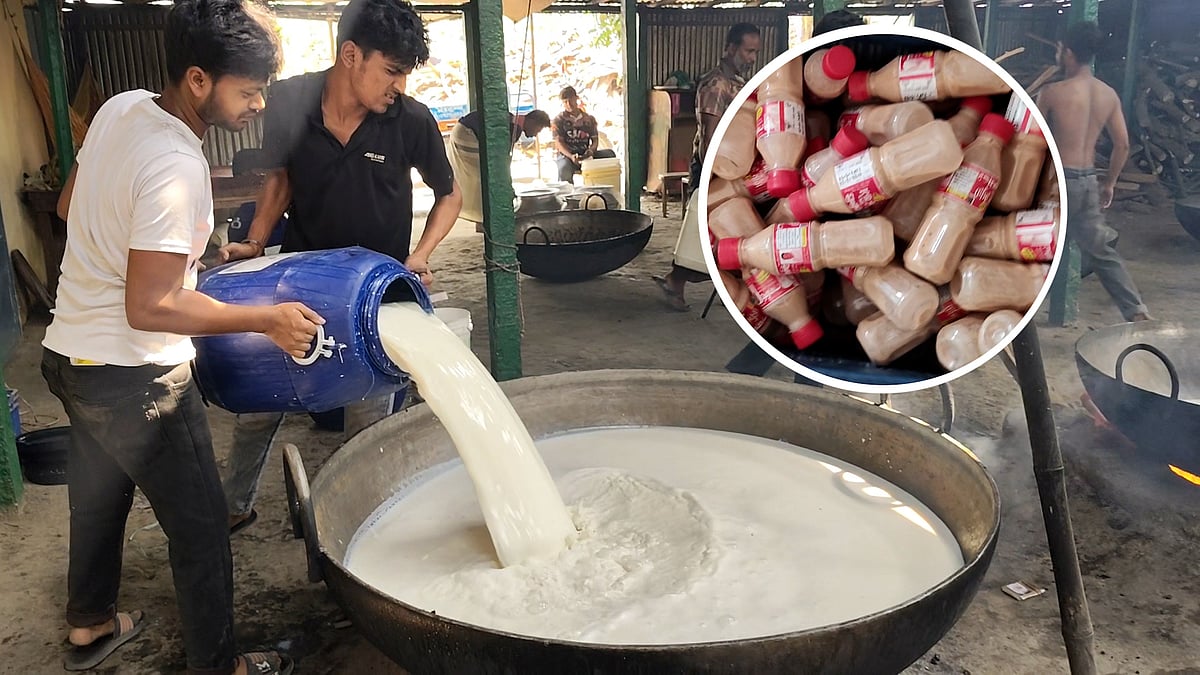 দই রাজ্যে মাঠার কদর বেড়েছে কয়েক গুণ, দেশজুড়ে যাচ্ছে বগুড়ার মাঠা